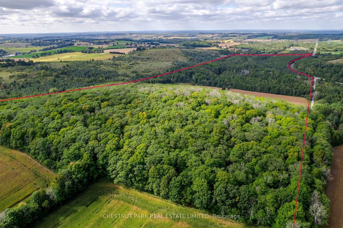 Land in Hamilton, Ontario, Canada 5 - 18360143