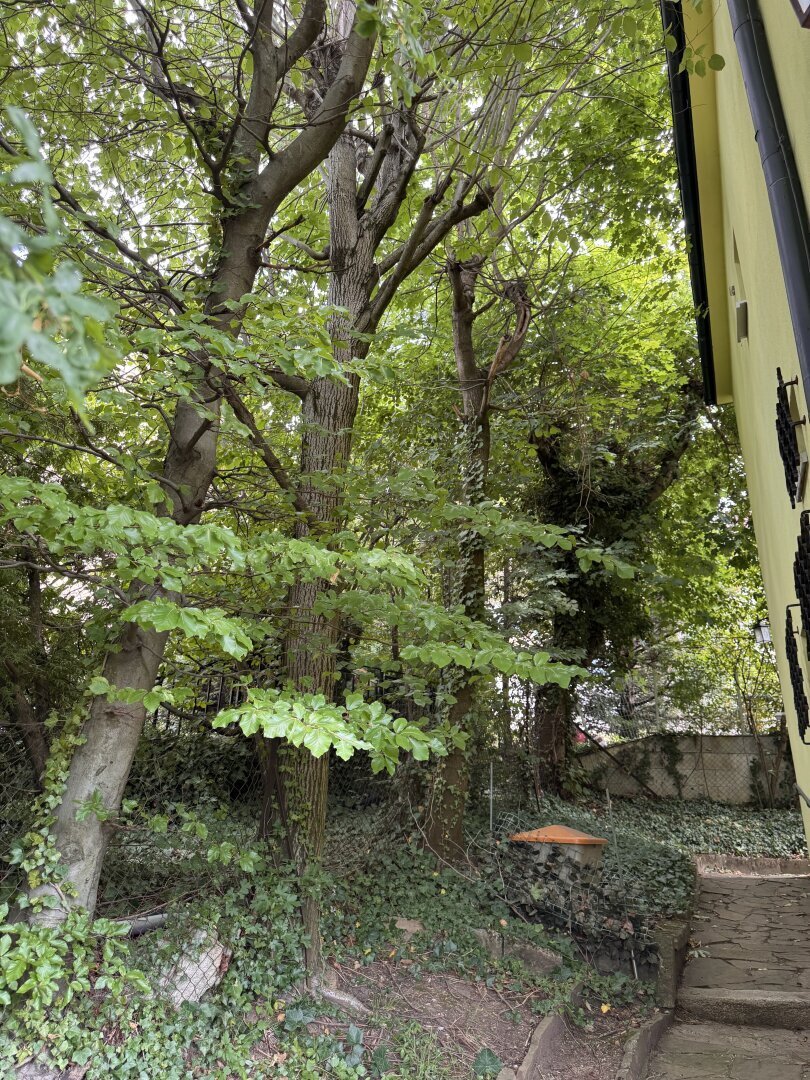 House in Vienna, Wien, Austria 4 - 17032993