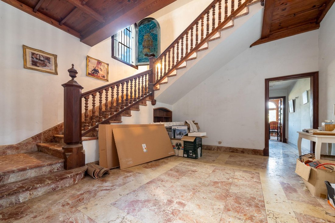 Villa in Palma, Balearic Islands, Spain 5 - 18360266