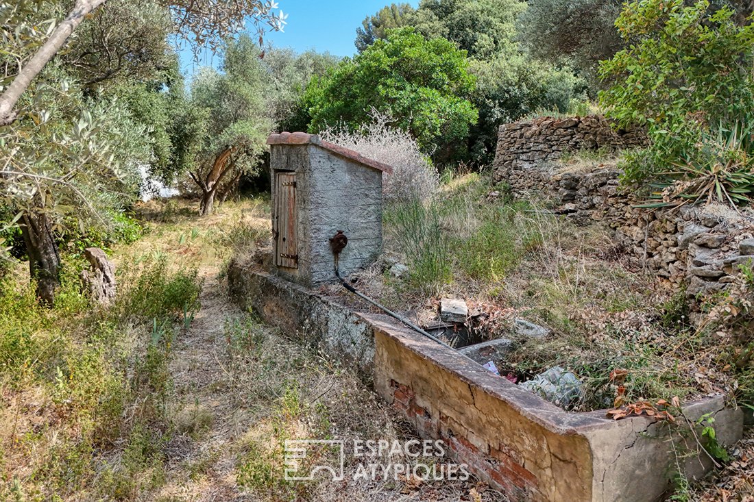 Land in La Ciotat, Provence-Alpes-Côte d'Azur, France 5 - 18361187