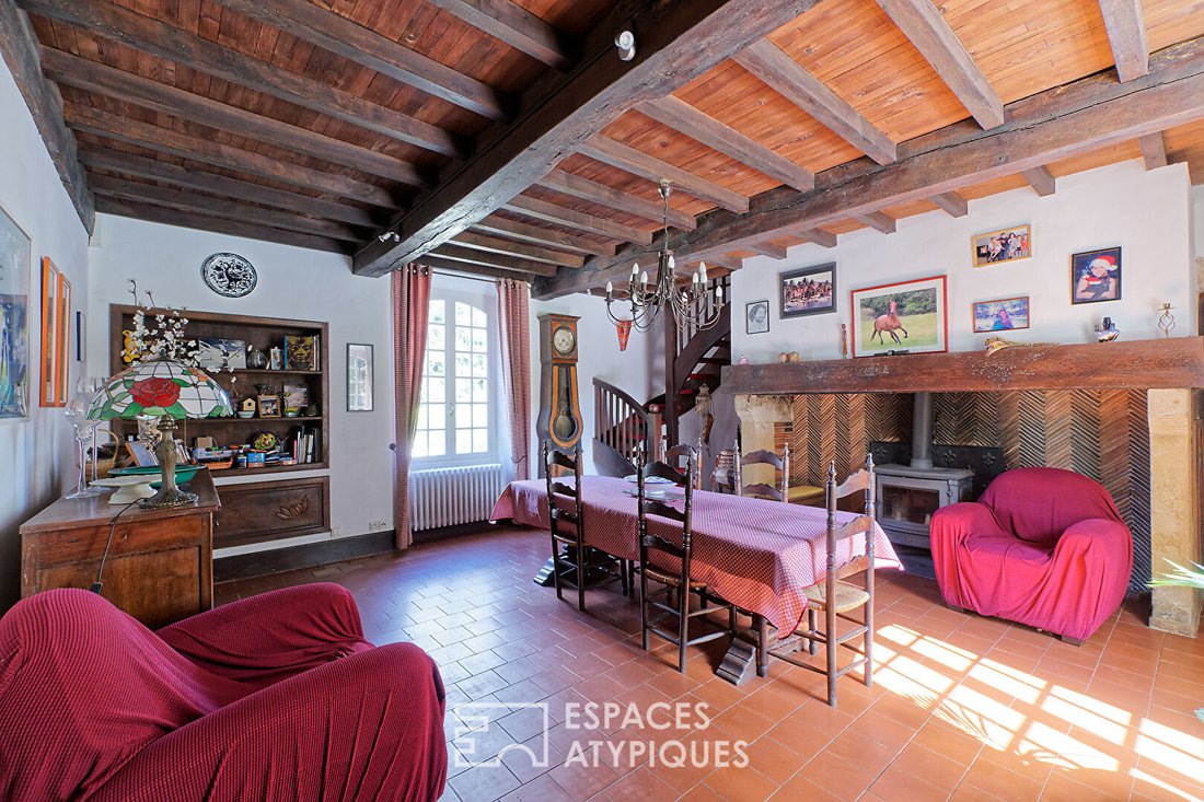 Villa in Anoye, Nouvelle-Aquitaine, France 4 - 18360818