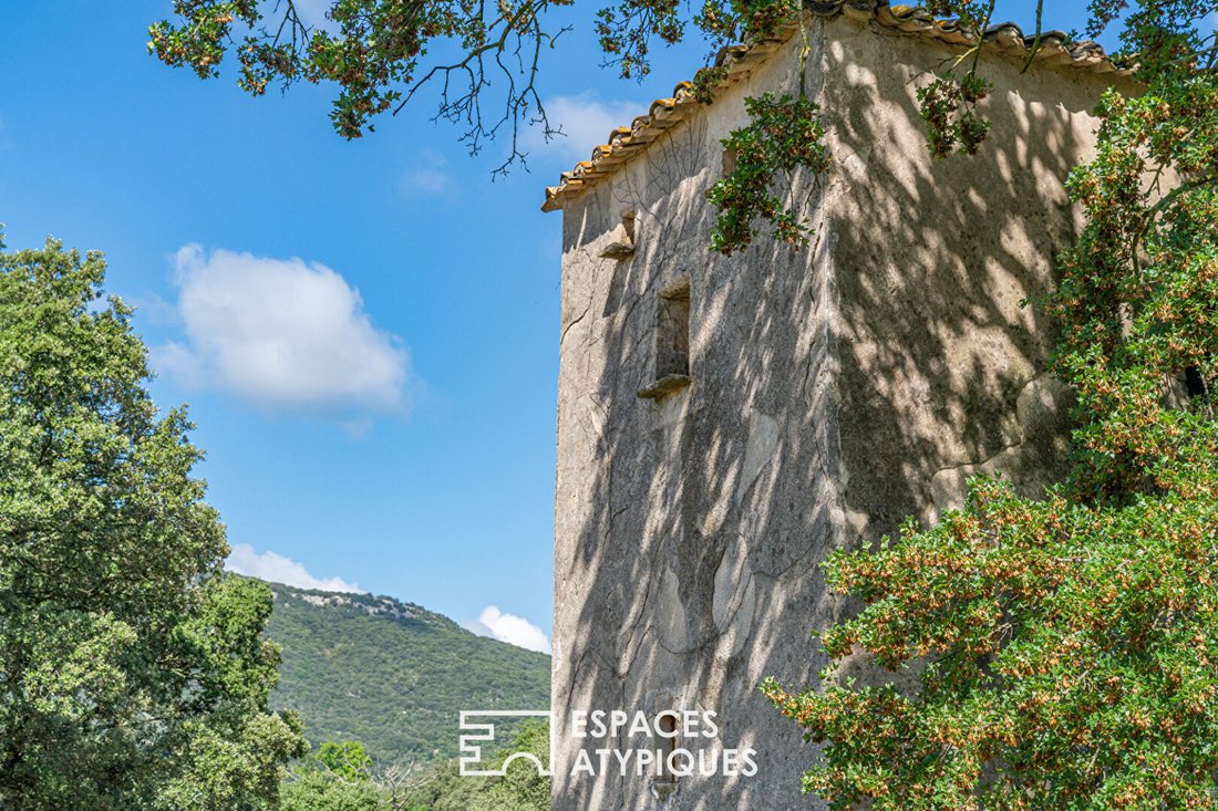 Villa in Quissac, Occitania, France 1 - 18360892