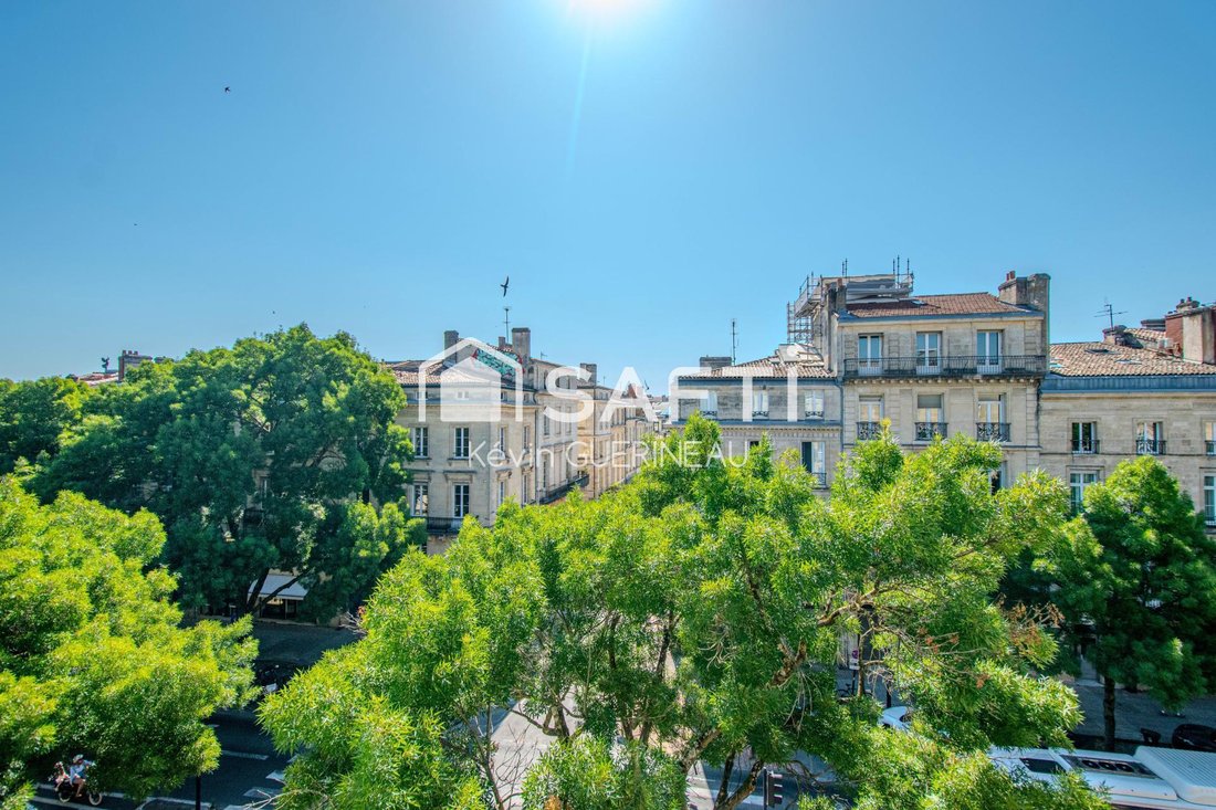 Apartment in Hôtel de Ville-Quinconce-Saint Seurin-Fondaudège, Bordeaux, France 1 - 17366001
