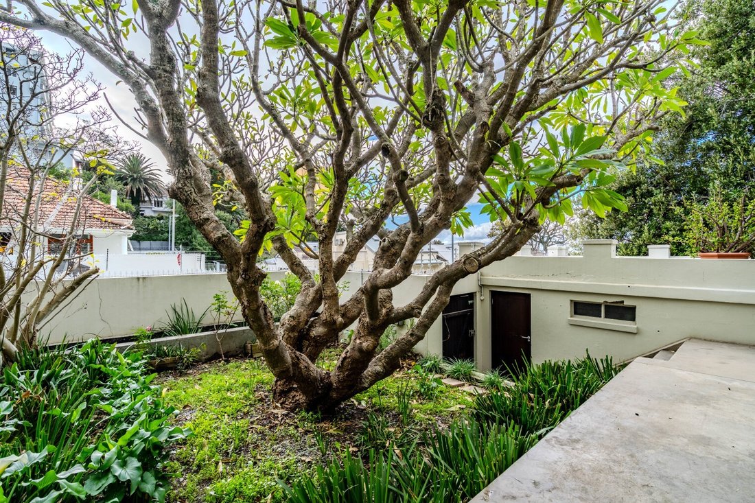 Country House in Gardens, Cape Town, South Africa 3 - 18360983