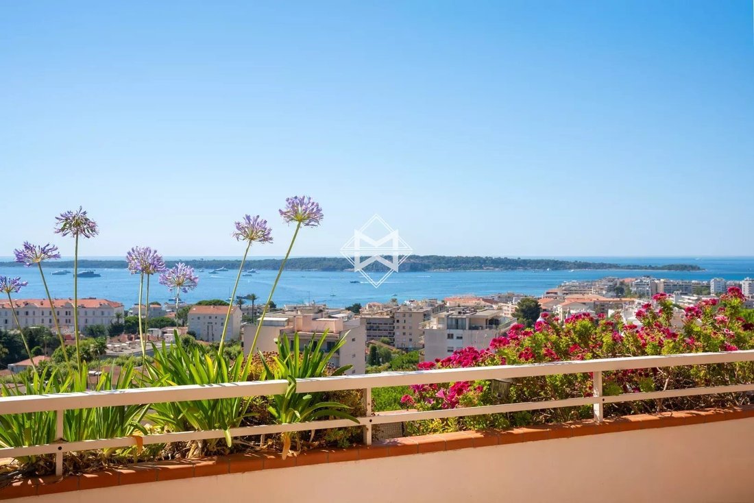Apartment in Cannes, Provence-Alpes-Côte d'Azur, France 2 - 17853161