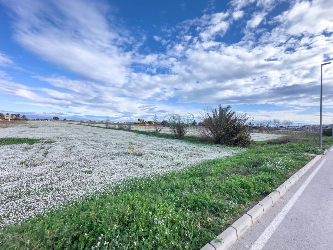 Land in Daya Vieja, Valencian Community, Spain 4 - 16990348