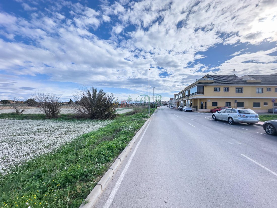 Land in Daya Vieja, Valencian Community, Spain 3 - 16990348