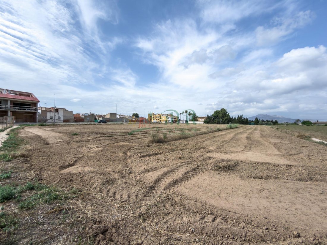Land in Catral, Valencian Community, Spain 4 - 18091553