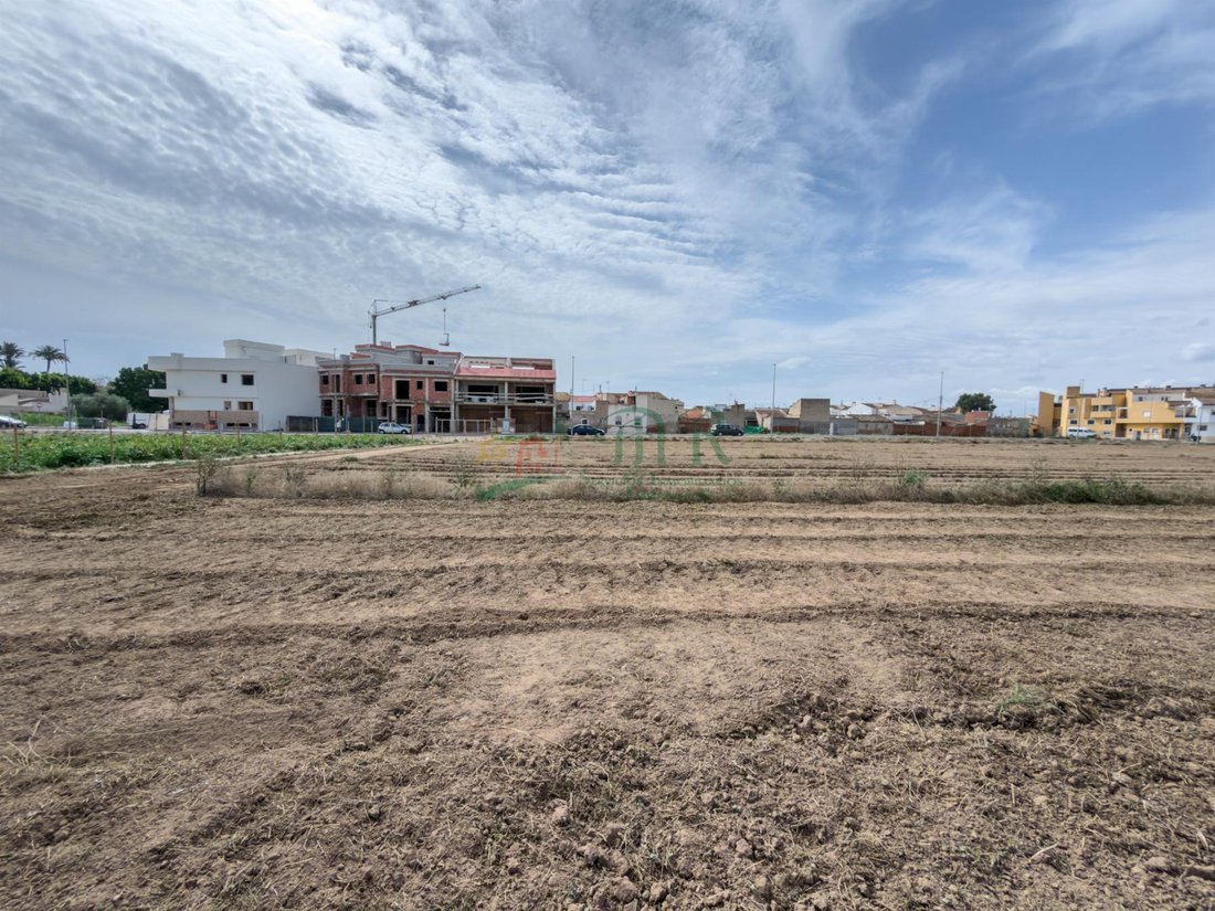 Land in Catral, Valencian Community, Spain 1 - 18091553