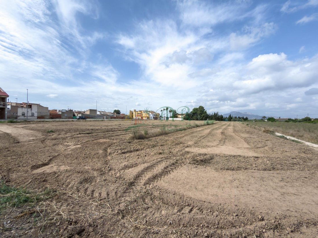 Land in Catral, Valencian Community, Spain 5 - 18091553