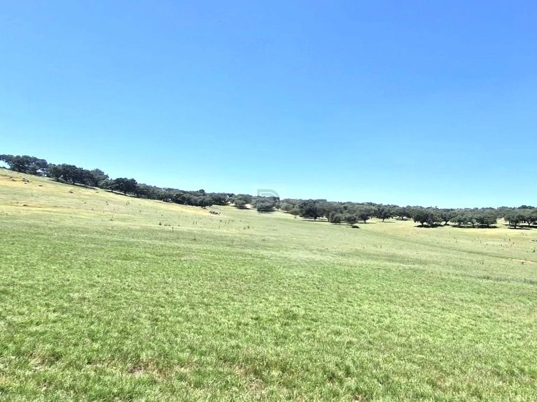 Farm Ranch in Terrugem e Vila Boim, Portalegre District, Portugal 1 - 18361162