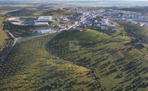 Terreno a Arraiolos, Distretto di Évora, Portogallo 1