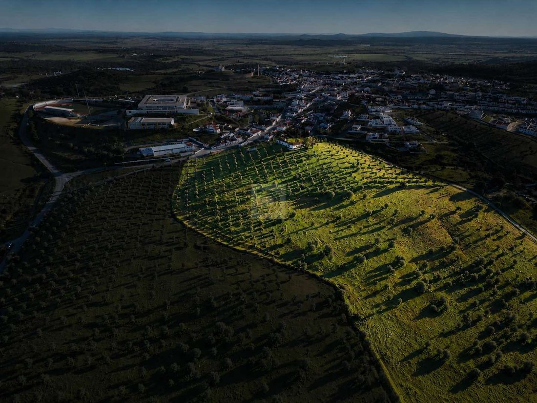 Farm Ranch in Arraiolos, Évora District, Portugal 1 - 18361142