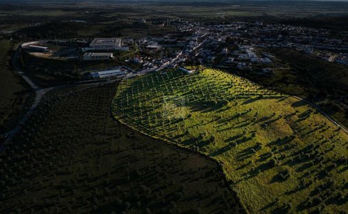Azienda agricola a Arraiolos, Distretto di Évora, Portogallo 1