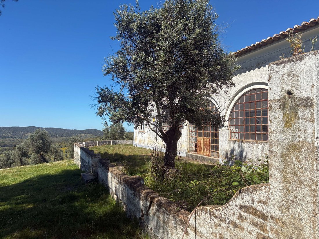 Farm Ranch in Arraiolos, Évora District, Portugal 2 - 18361142