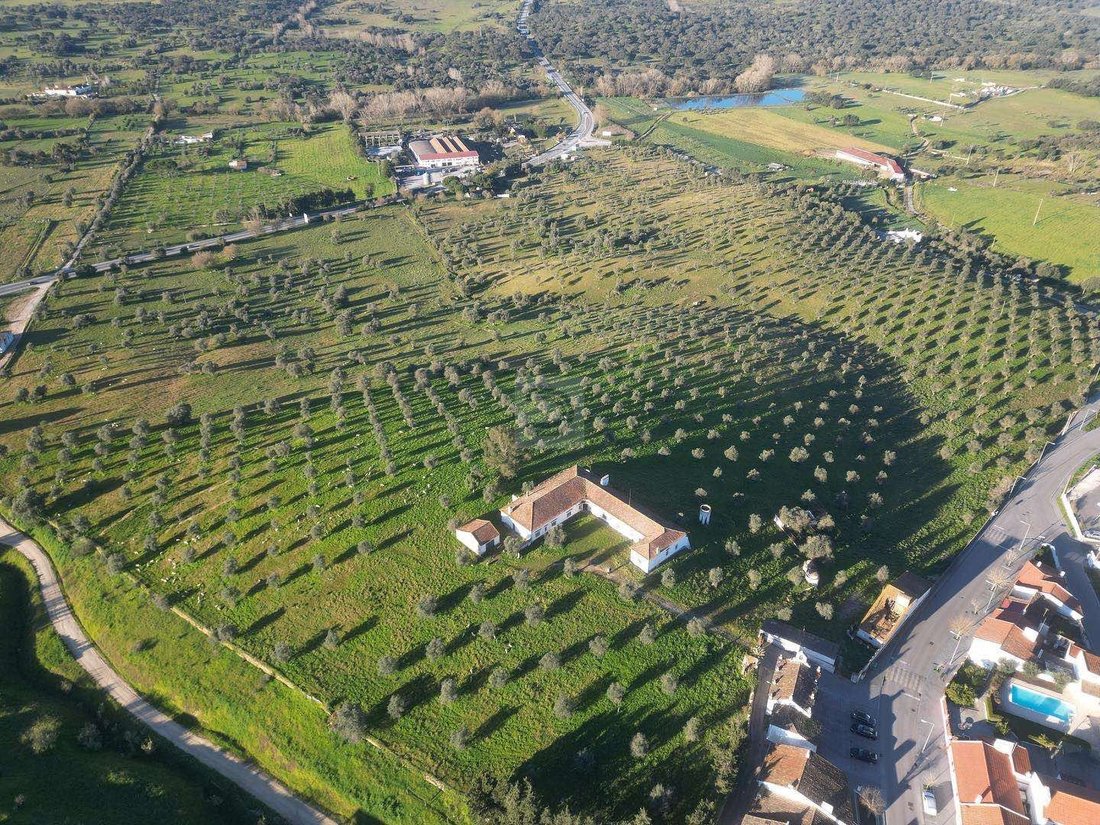 Farm Ranch in Arraiolos, Évora District, Portugal 5 - 18361142