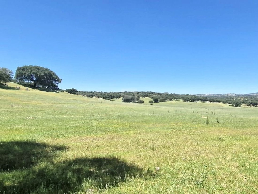 Farm Ranch in Terrugem e Vila Boim, Portalegre District, Portugal 3 - 18361162