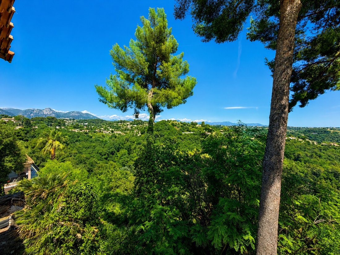 Villa in Saint-Paul-de-Vence, Provence-Alpes-Côte d'Azur, France 5 - 18064134