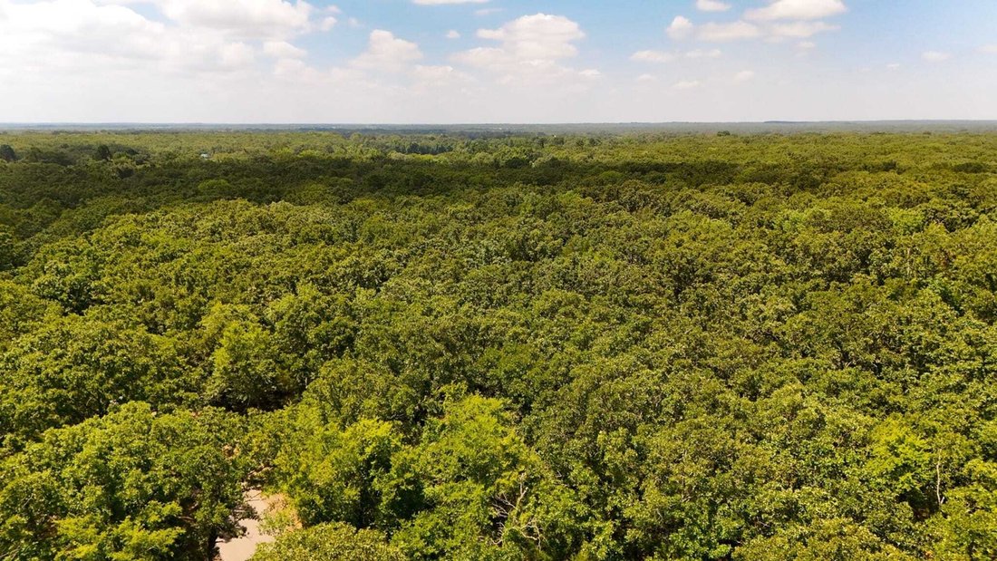 Land in Alba, Texas, United States 2 - 18369586