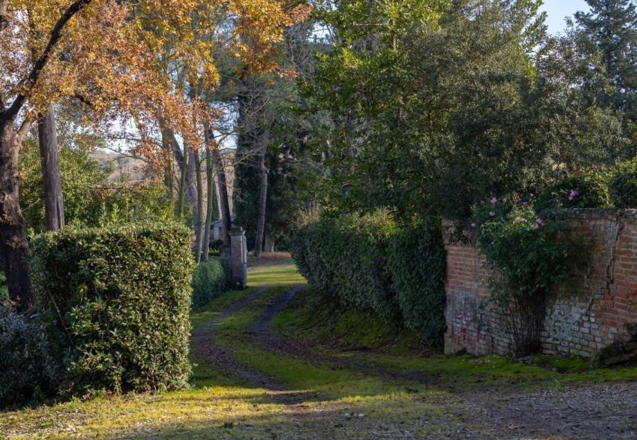 Estate in Castiglione del Lago, Umbria, Italy 5 - 18366938