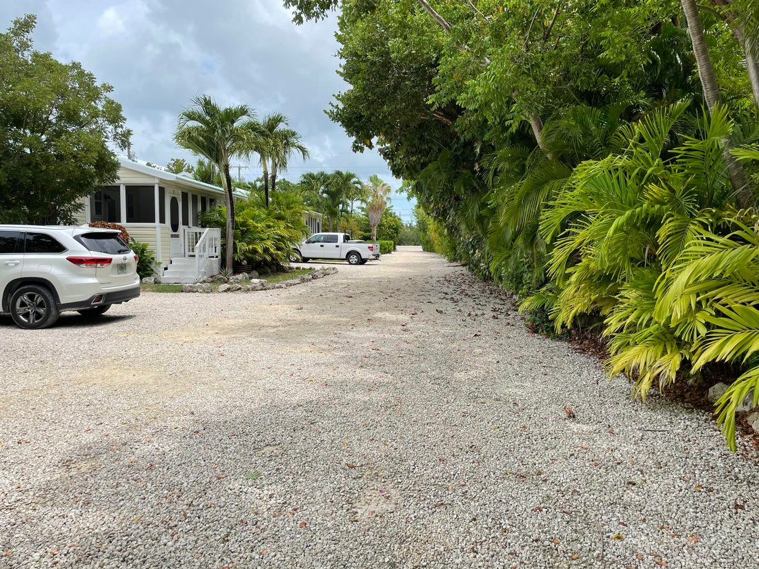 Big Pine Key, Florida, United States 5 - 18361768