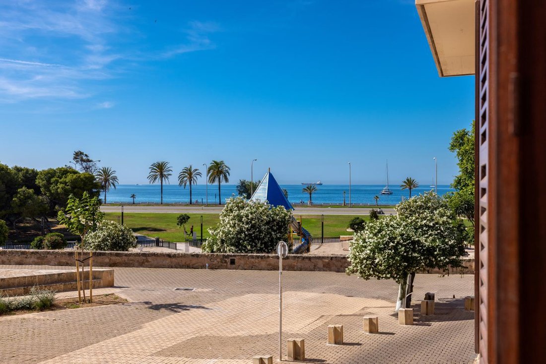 Apartment in Palma, Balearic Islands, Spain 1 - 18363027