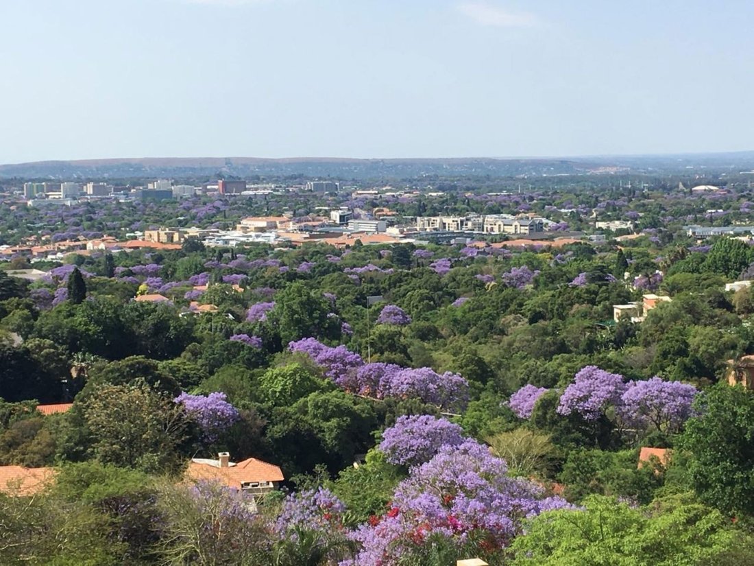 Domaine à Monument Park, Gauteng, Afrique du Sud 2 - 17648717