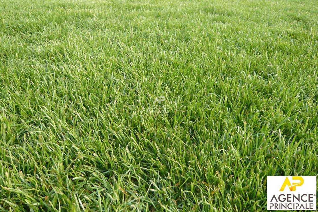 Land in Basses Roches, Conflans-Sainte-Honorine, France 1 - 18365880