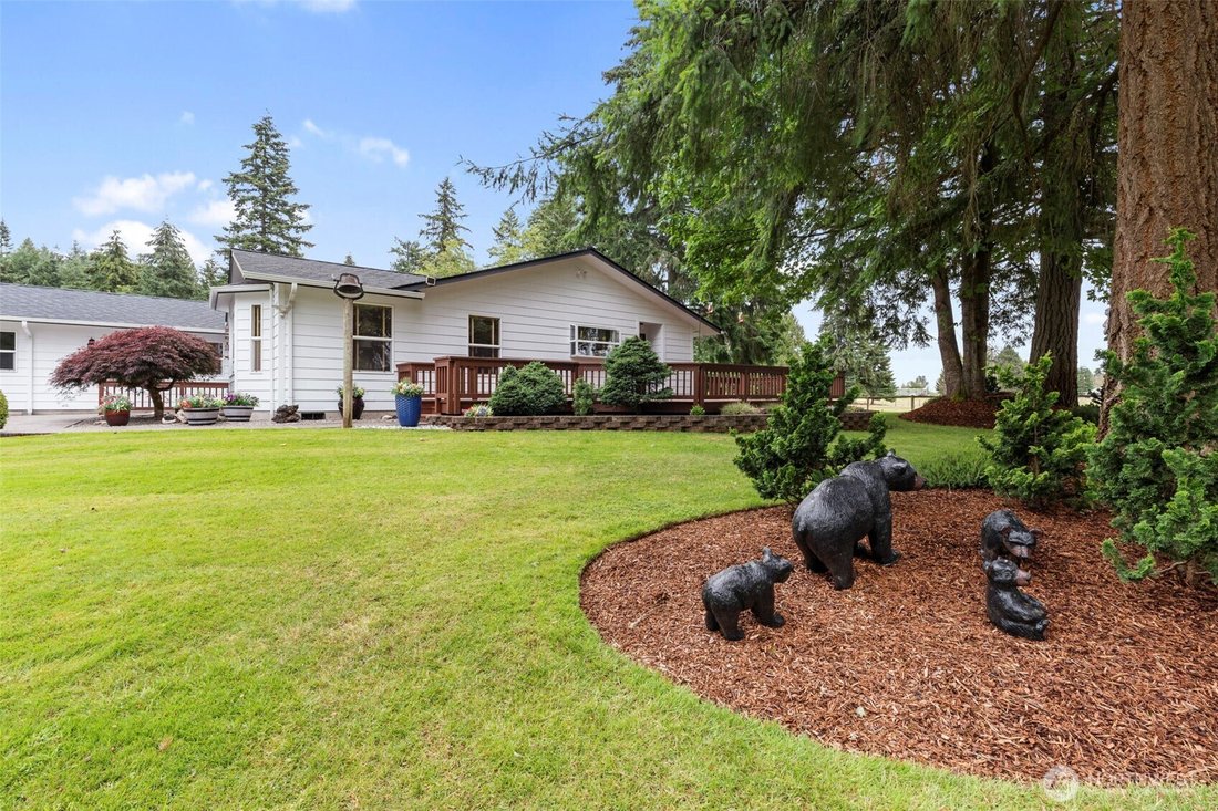 Chehalis, Washington, United States 3 - 18363656