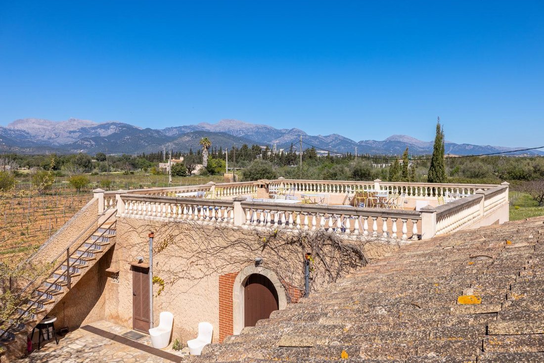 Estate in Binissalem, Balearic Islands, Spain 4 - 18362731