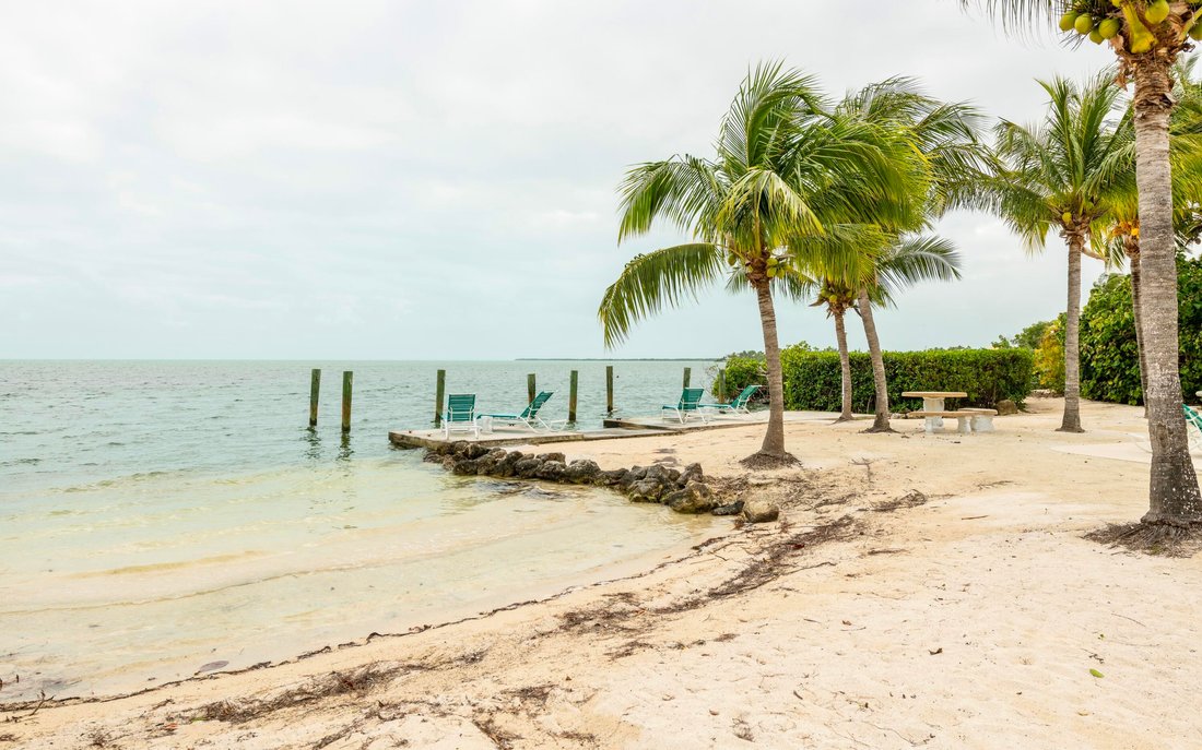 Big Pine Key, Florida, United States 4 - 18361768