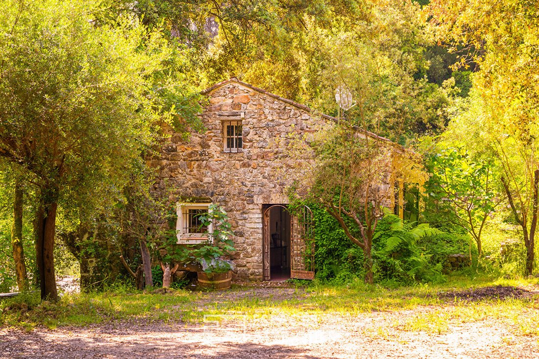Villa in Callas, Provence-Alpes-Côte d'Azur, France 3 - 18368342