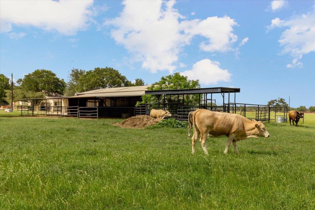House in Elgin, Texas, United States 5 - 18362672