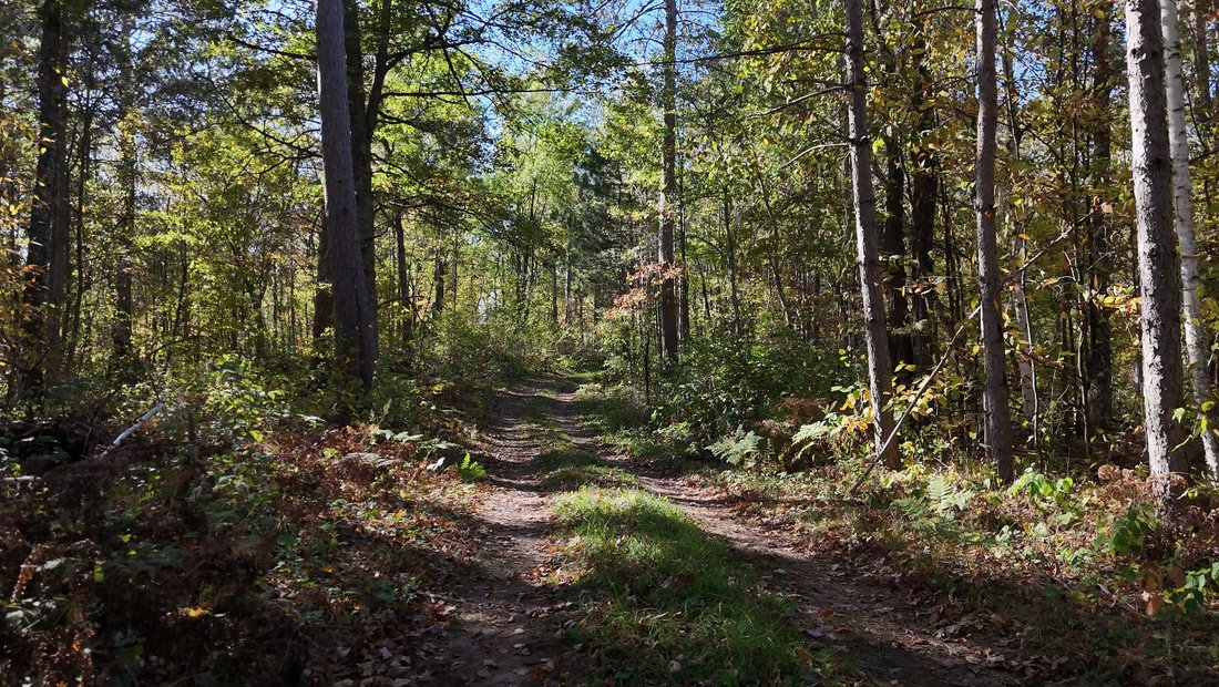 Land in Spooner, Wisconsin, United States 3 - 18322411