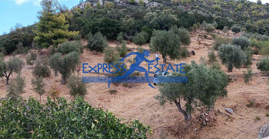Condo in Marathonas, Attica, Greece 4 - 18362564