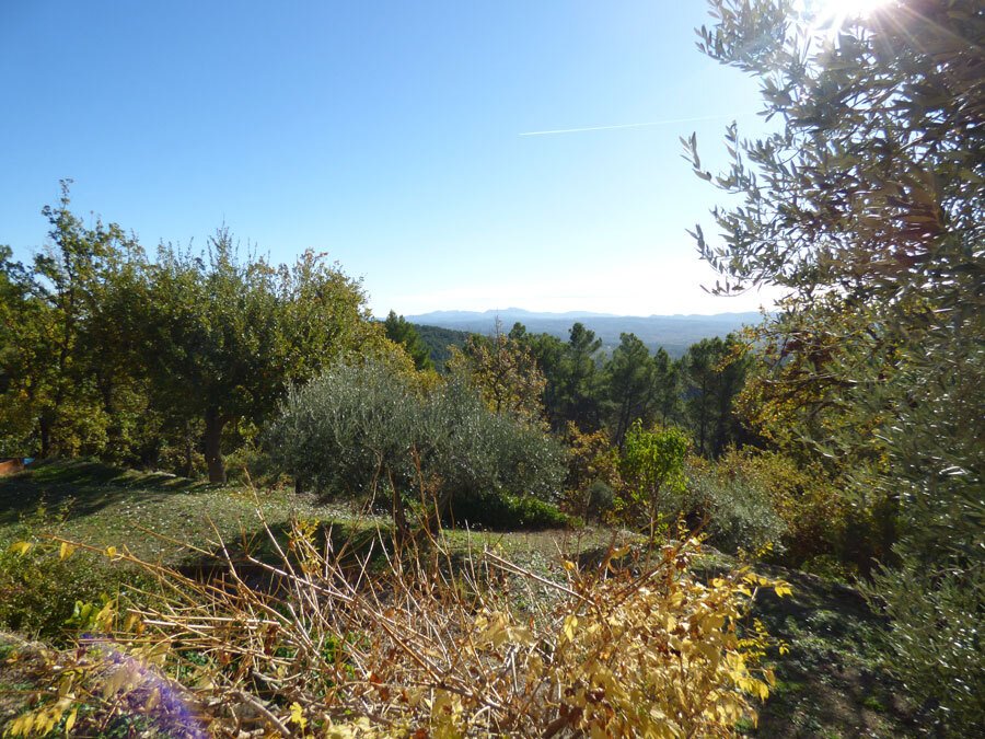 House in Seillans, Provence-Alpes-Côte d'Azur, France 4 - 18363188