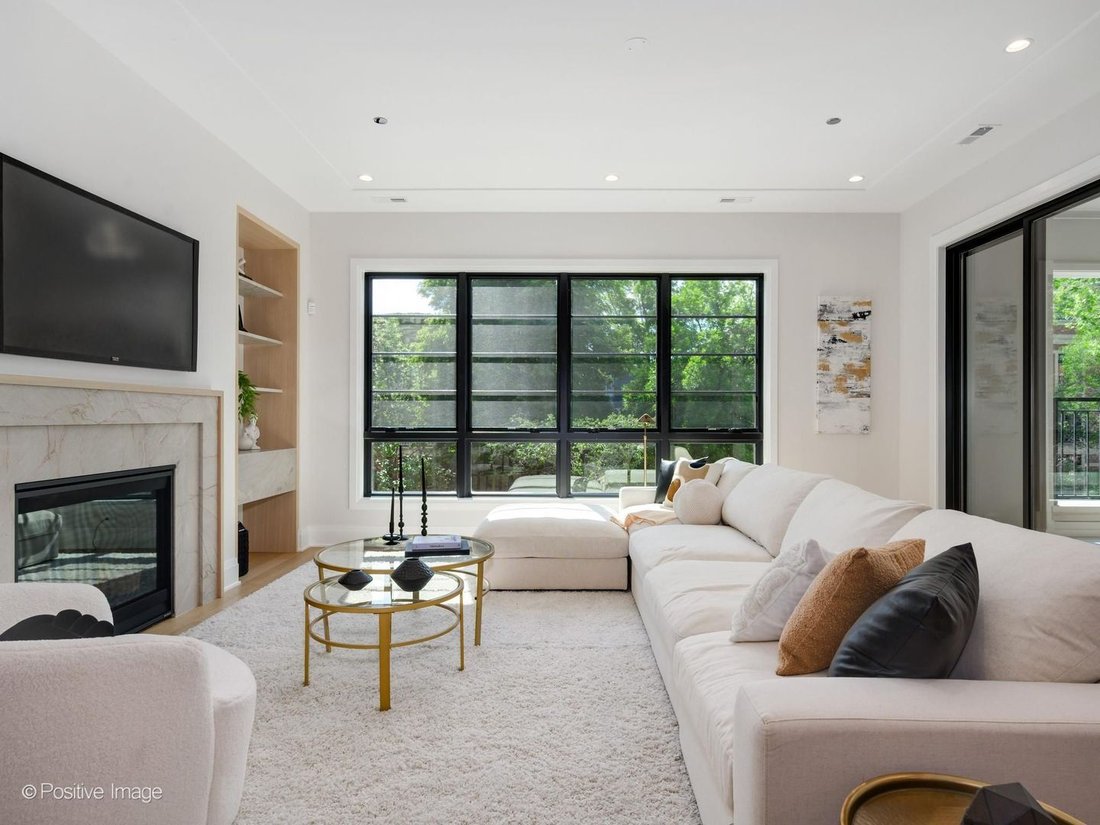 Condo in Chicago, Illinois, United States 3 - 18365610