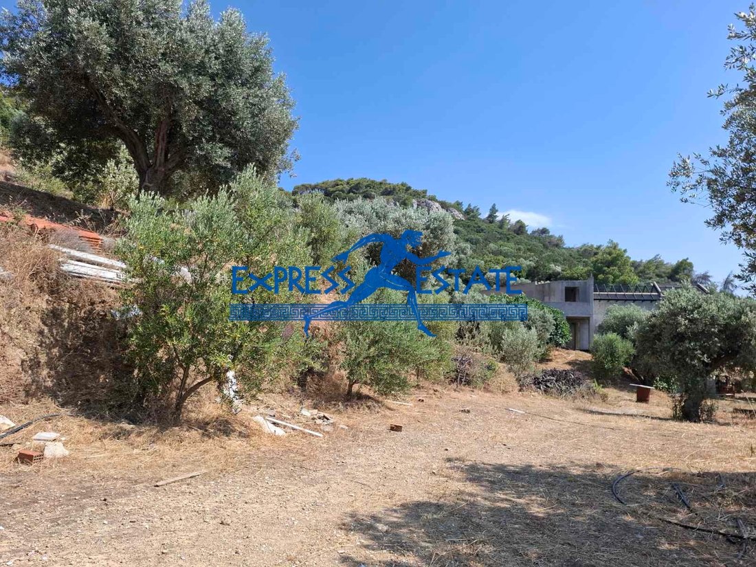 Condo in Marathonas, Attica, Greece 5 - 18362564