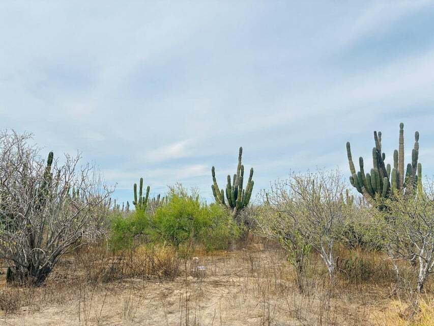 Land in La Paz, Baja California Sur, Mexico 5 - 18367167