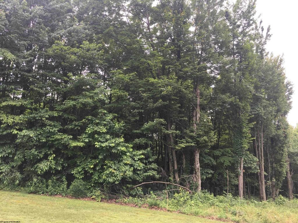 Land in Brookhaven, West Virginia, United States 5 - 18369678