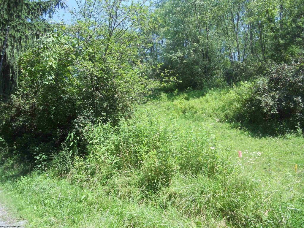 Land in Maidsville, West Virginia, United States 4 - 18369664
