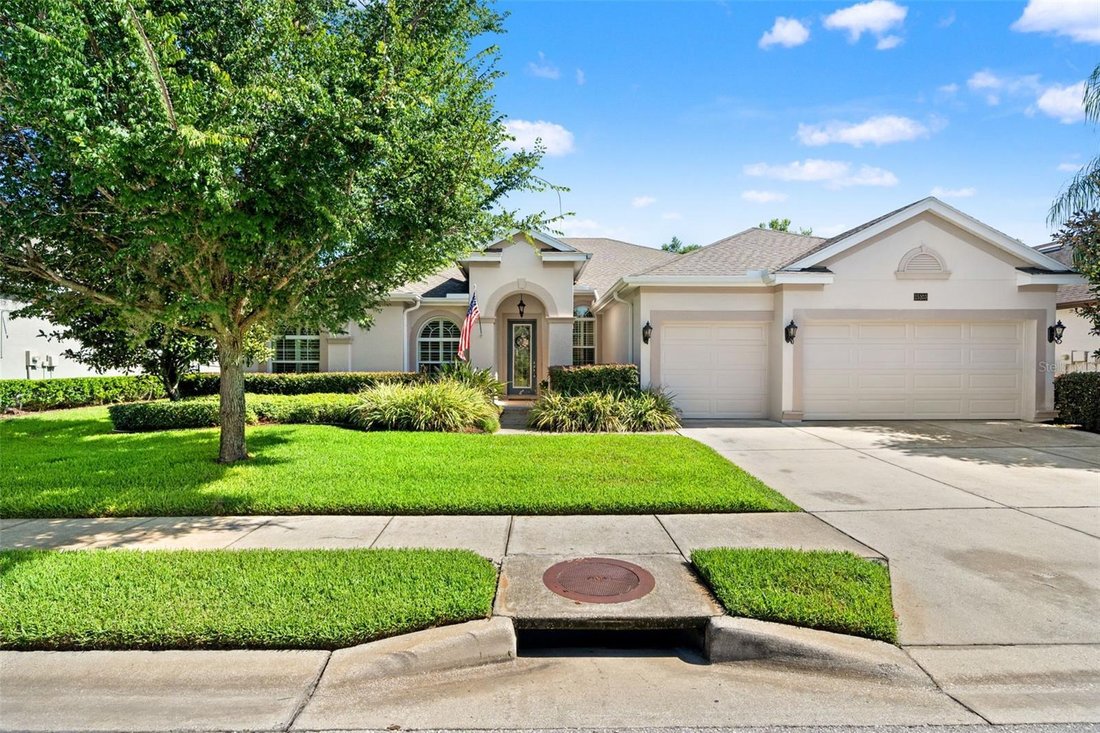 House in Odessa, Florida, United States 1 - 18362078