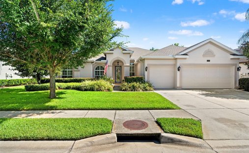 Casa a Odessa, Florida, Stati Uniti 1
