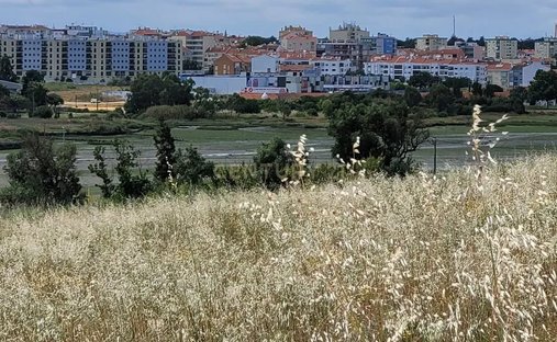 Land in Seixal, Arrentela e Aldeia de Paio Pires, Setubal, Portugal 1