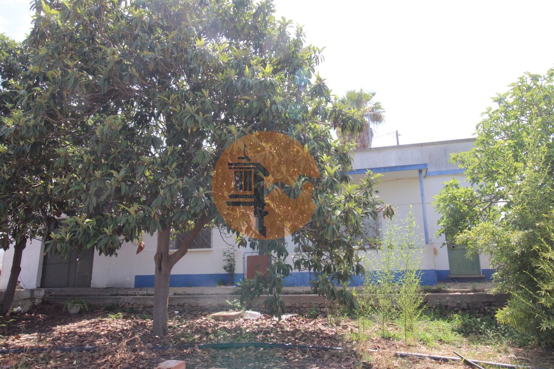 Land in Pechao, Algarve, Portugal 5 - 12898291
