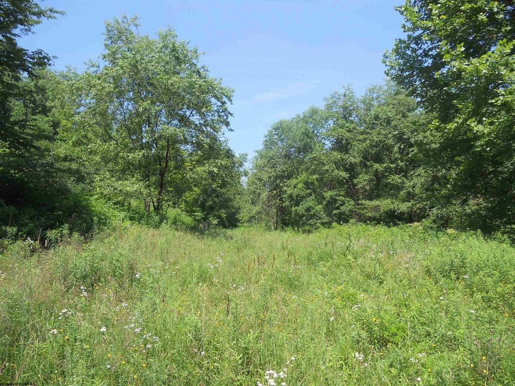 Land in Maidsville, West Virginia, United States 5 - 18369664
