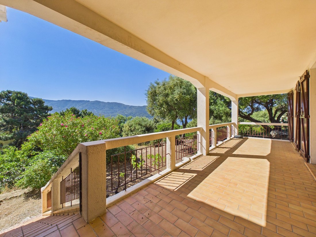Villa in Casaglione, Corsica, France 4 - 18043446