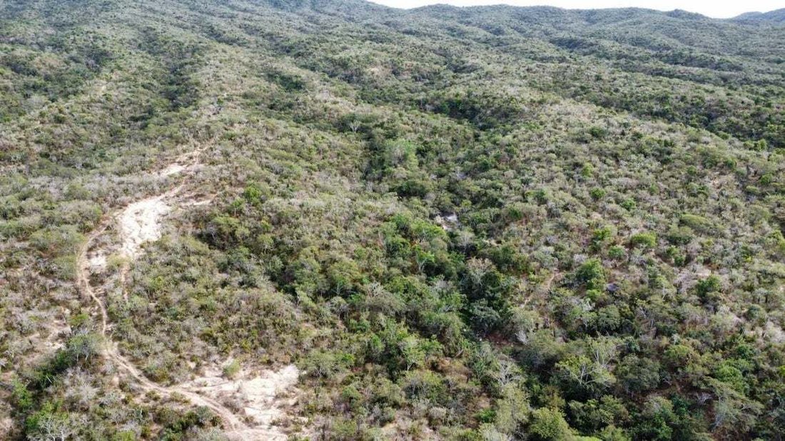 Land in San Antonio de las Huertas, Baja California Sur, Mexico 3 - 18367172
