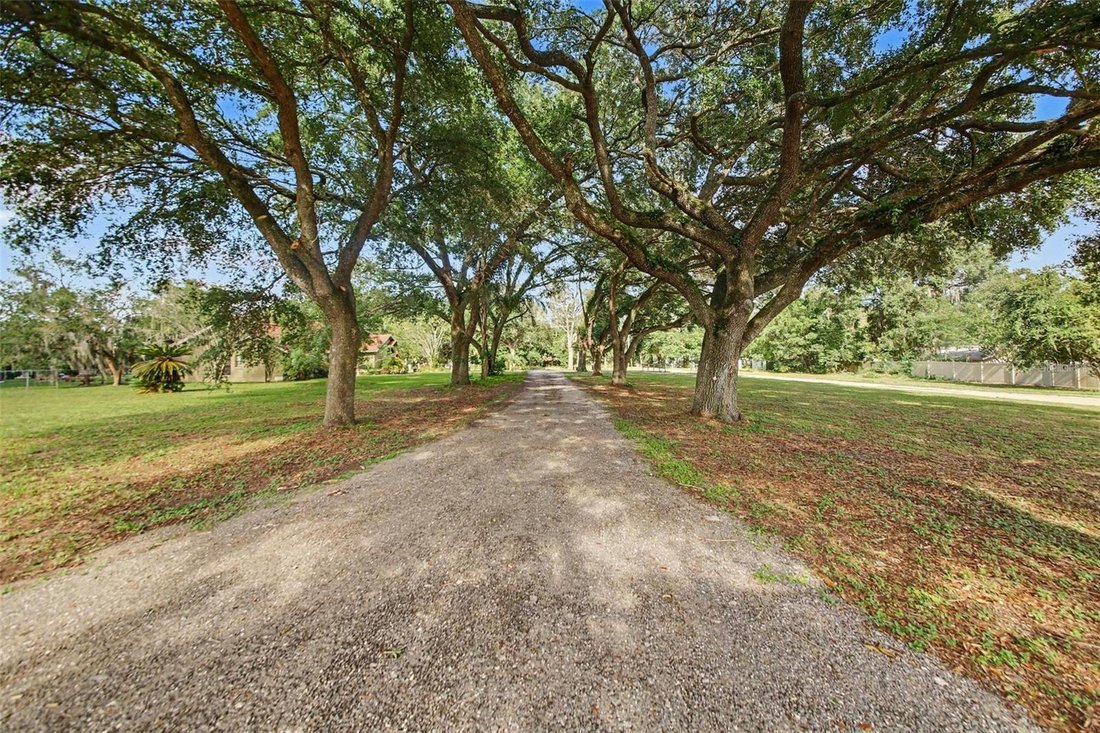 House in Apopka, Florida, United States 4 - 18365500