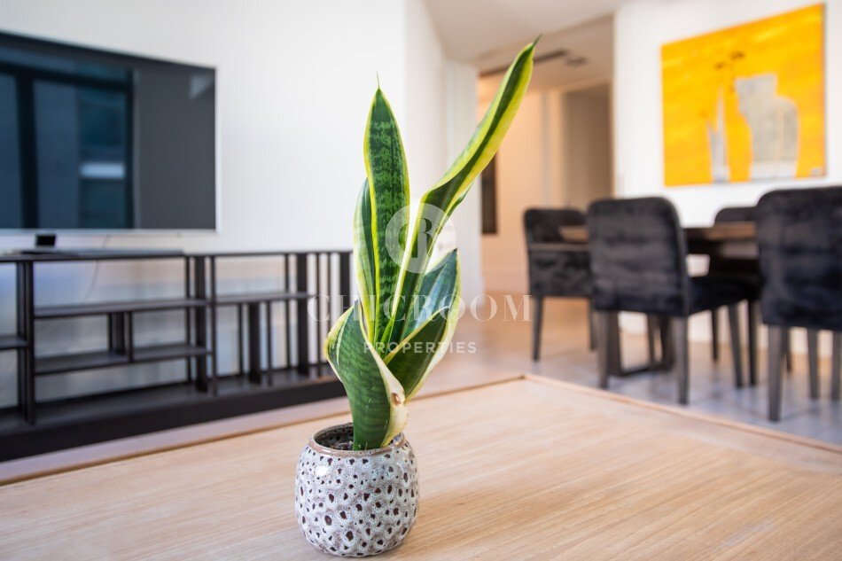Apartment in Eixample, Barcelona, Spain 5 - 18363746